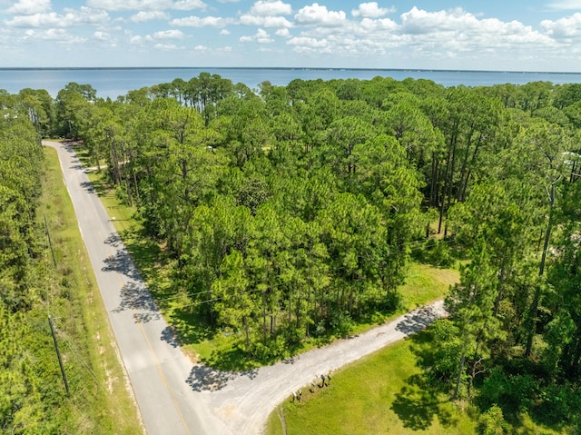 3.13ACRES Whisper Ln, Santa Rosa Beach, FL 32459 - photo 7