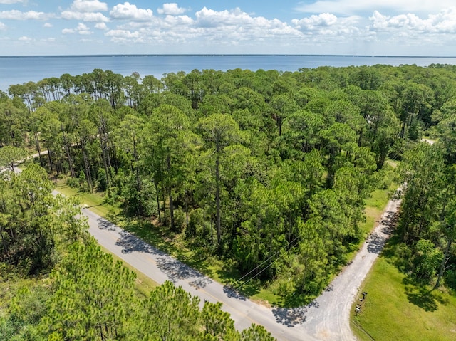 3.13ACRES Whisper Ln, Santa Rosa Beach, FL 32459 - photo 8