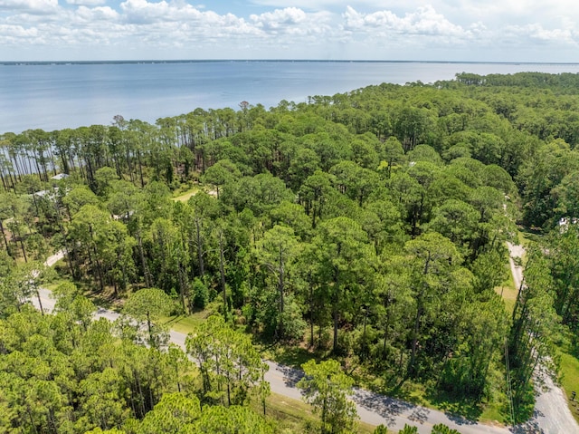 3.13ACRES Whisper Ln, Santa Rosa Beach, FL 32459 - photo 9