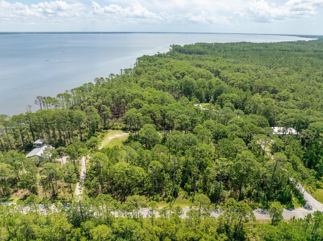 3.13ACRES Whisper Ln, Santa Rosa Beach, FL 32459 - photo 10