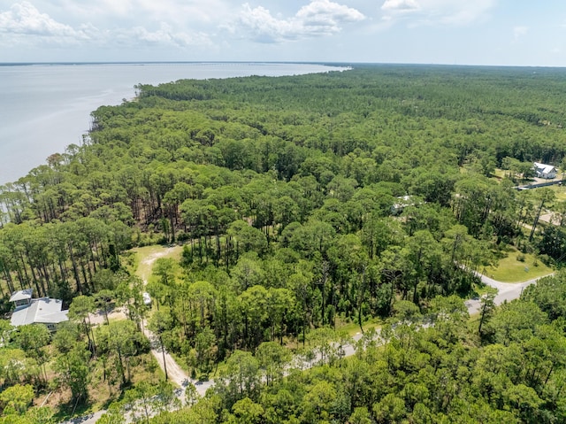 3.13ACRES Whisper Ln, Santa Rosa Beach, FL 32459 - photo 11