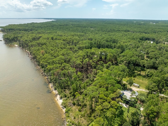 3.13ACRES Whisper Ln, Santa Rosa Beach, FL 32459 - photo 12