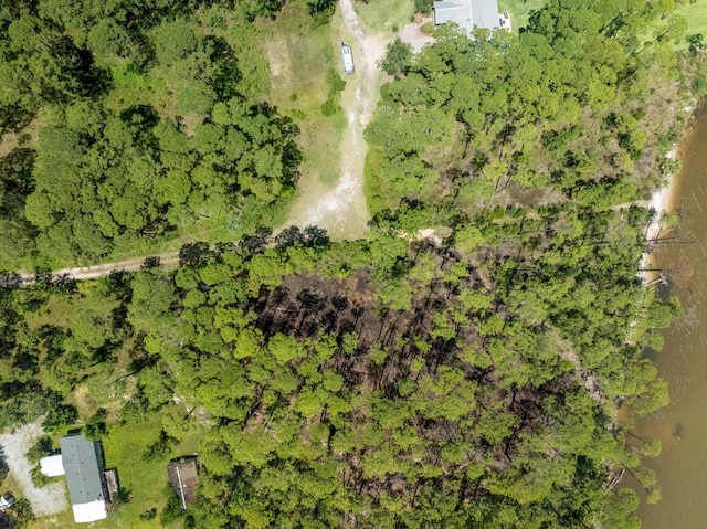 3.13ACRES Whisper Ln, Santa Rosa Beach, FL 32459 - photo 18