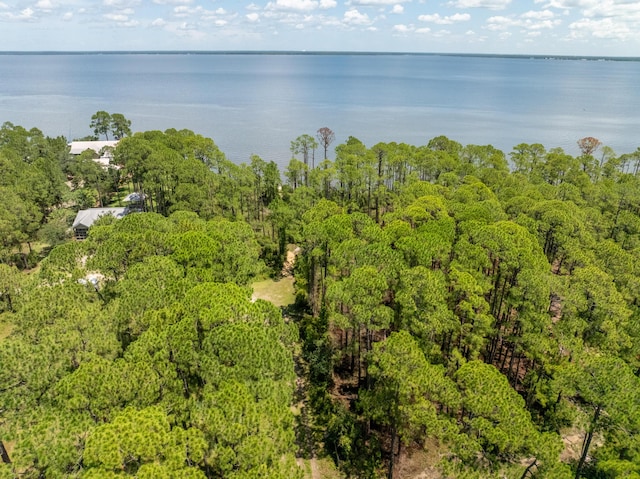3.13ACRES Whisper Ln, Santa Rosa Beach, FL 32459 - photo 22