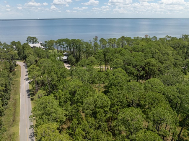 3.13ACRES Whisper Ln, Santa Rosa Beach, FL 32459 - photo 23