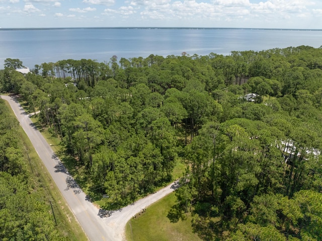 3.13ACRES Whisper Ln, Santa Rosa Beach, FL 32459 - photo 24