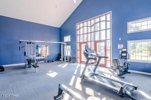 3929 Indian Springs Rd, Panama City, FL 32404 - exercise room featuring high vaulted ceiling, carpet flooring, and plenty of natural light