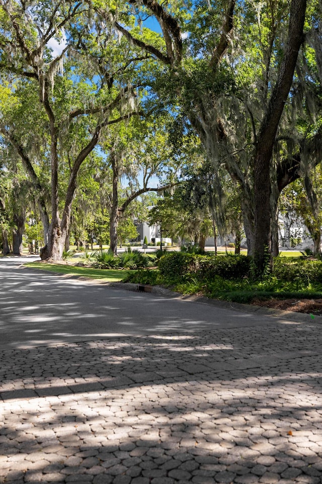 LOT9A Bennett, Santa Rosa Beach, FL 32459 - photo 11