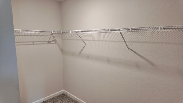 4408 Marine Loop, Crestview, FL 32539 - walk in closet with carpet