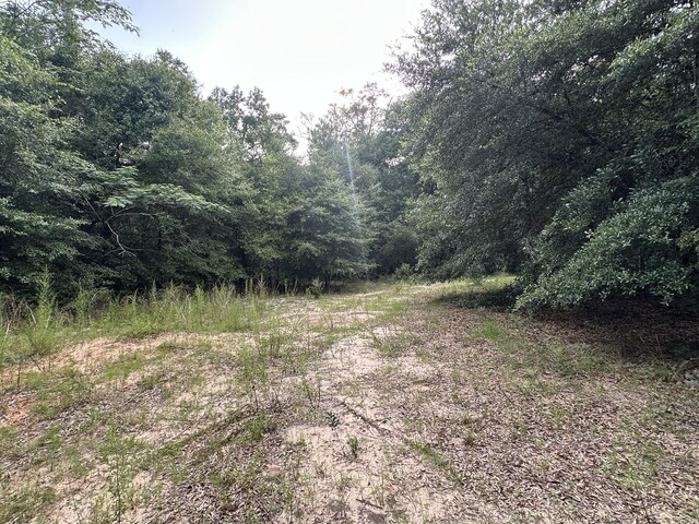 33/-AC Keyser Mill Rd, Baker, FL 32531