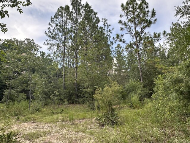 33/-AC Keyser Mill Rd, Baker, FL 32531