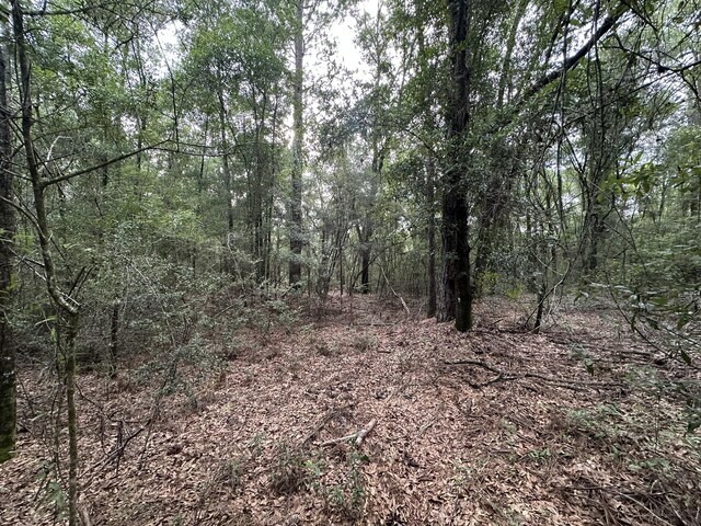 33/-AC Keyser Mill Rd, Baker, FL 32531