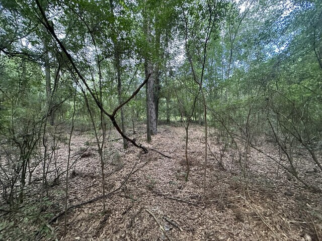 33/-AC Keyser Mill Rd, Baker, FL 32531