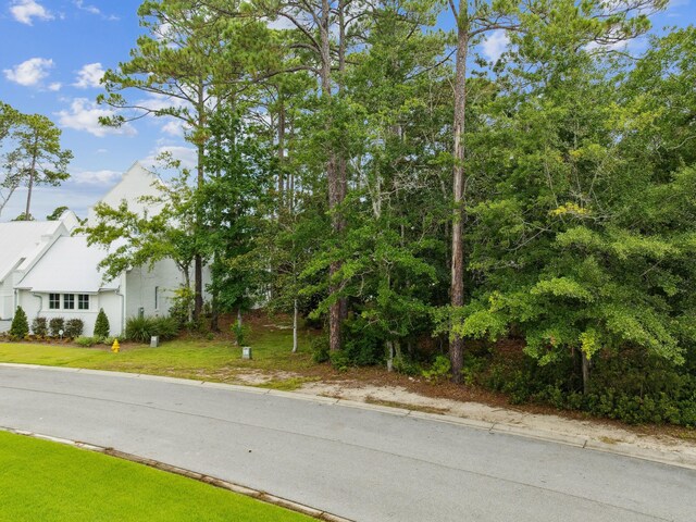 LOT44A Perrin, Santa Rosa Beach, FL 32459 - photo 5