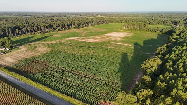 404 E E M White Rd, Defuniak Springs, FL 32433 - photo 3