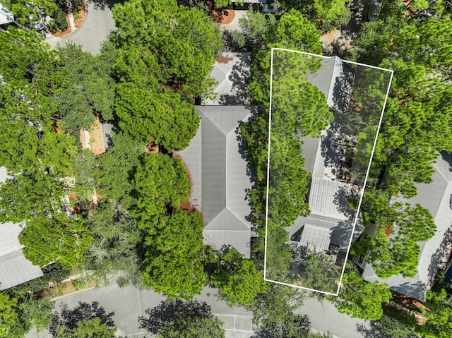 214 Spartina Cir, Santa Rosa Beach, FL 32459 - photo 37