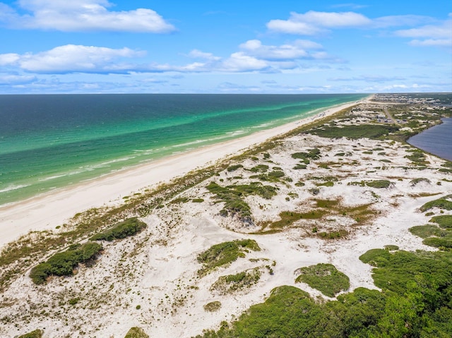 214 Spartina Cir, Santa Rosa Beach, FL 32459 - photo 42