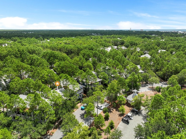 214 Spartina Cir, Santa Rosa Beach, FL 32459 - photo 44