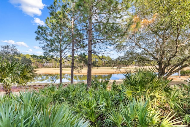 9800 Grand Sandestin Blvd Unit 5122, Miramar Beach, FL 32550 - photo 14