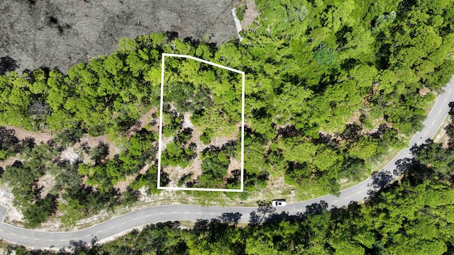 1113 E Water Oak, Panama City Beach, FL 32413 - photo 5