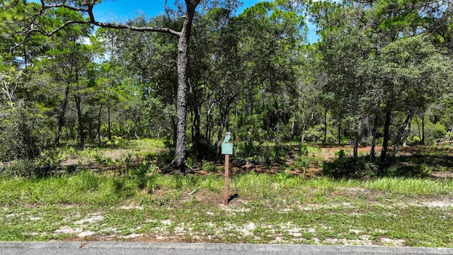 1113 E Water Oak, Panama City Beach, FL 32413 - photo 6