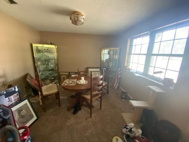 10 Selborne Pl, Pensacola, FL 32506 - photo 4