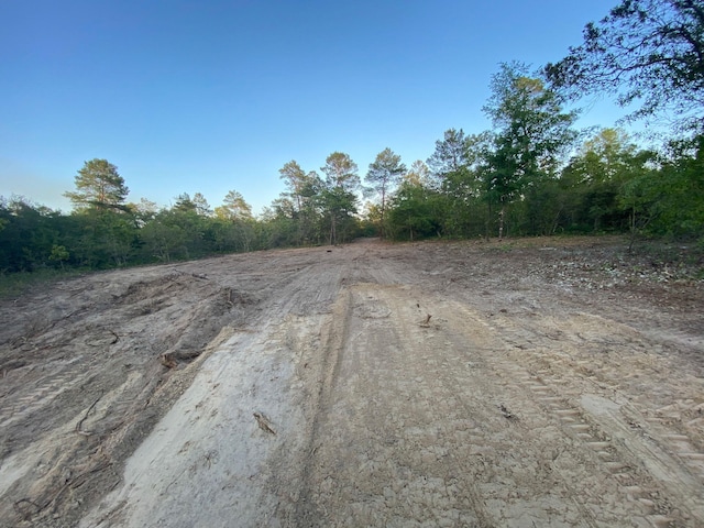 TBD J W Hollington Rd, Freeport, FL 32439 - photo 1