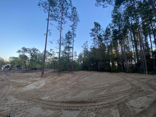TBD J W Hollington Rd, Freeport, FL 32439 - photo 2