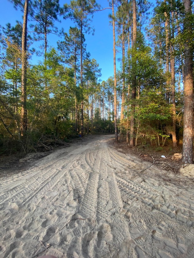 TBD J W Hollington Rd, Freeport, FL 32439 - photo 3