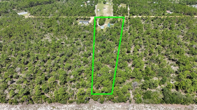 215 Pine Ln, Freeport, FL 32439 - photo 5