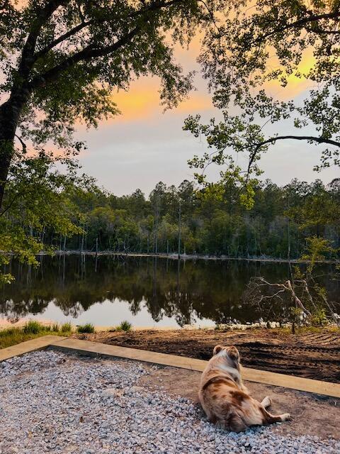 670 Peck Cawthon Rd, Defuniak Springs, FL 32435 - photo 13