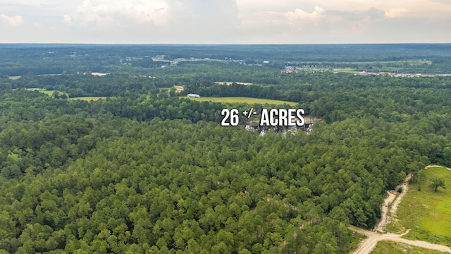 670 Peck Cawthon Rd, Defuniak Springs, FL 32435 - photo 12