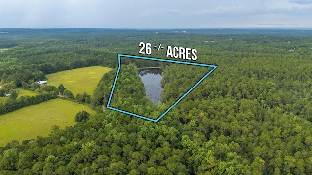 670 Peck Cawthon Rd, Defuniak Springs, FL 32435 - photo 10