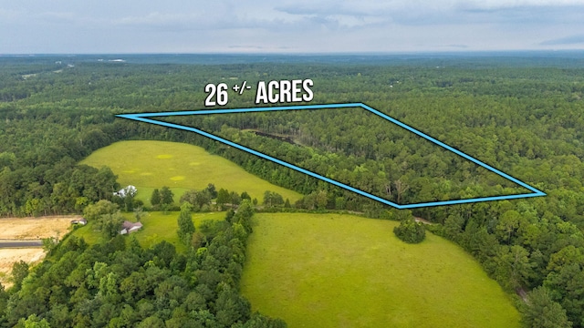 670 Peck Cawthon Rd, Defuniak Springs, FL 32435 - photo 9