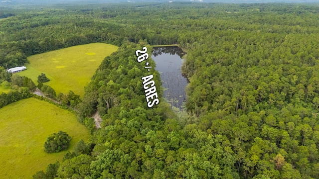 670 Peck Cawthon Rd, Defuniak Springs, FL 32435 - photo 6