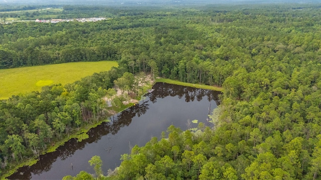 670 Peck Cawthon Rd, Defuniak Springs, FL 32435 - photo 5