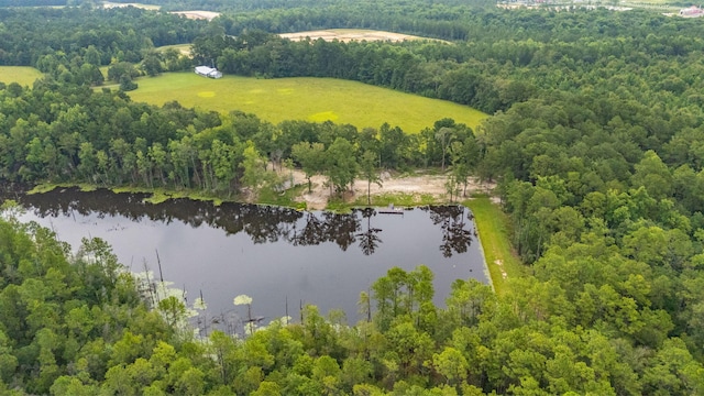 670 Peck Cawthon Rd, Defuniak Springs, FL 32435 - photo 4