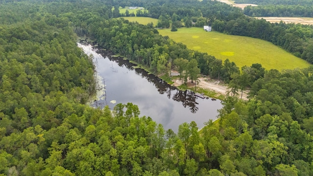 670 Peck Cawthon Rd, Defuniak Springs, FL 32435 - photo 3