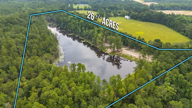 670 Peck Cawthon Rd, Defuniak Springs, FL 32435 - photo 1