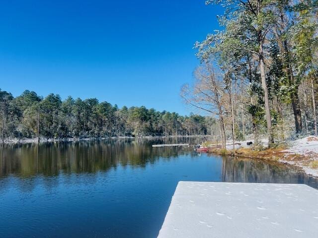 670 Peck Cawthon Rd, Defuniak Springs, FL 32435 - photo 26