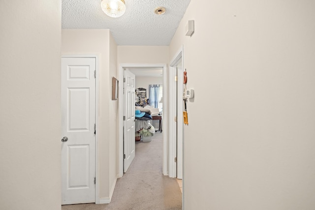1329 Suzanne Cir, Holt, FL 32564 - photo 33
