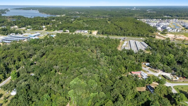 LotX Old Jolly Bay Lane, Freeport, FL 32439 - photo 6