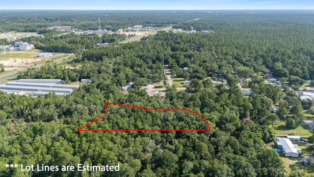 LotX Old Jolly Bay Lane, Freeport, FL 32439 - photo 3