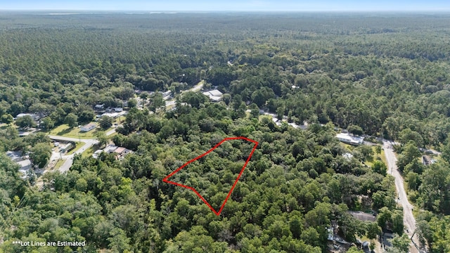LotX Old Jolly Bay Lane, Freeport, FL 32439 - photo 4