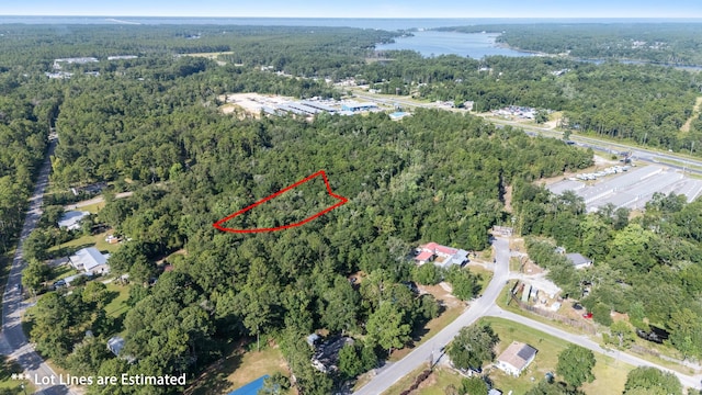 LotX Old Jolly Bay Lane, Freeport, FL 32439 - photo 1