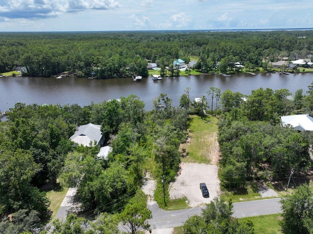 LOT4 E Bayou Forest Dr, Freeport, FL 32439 - photo 3