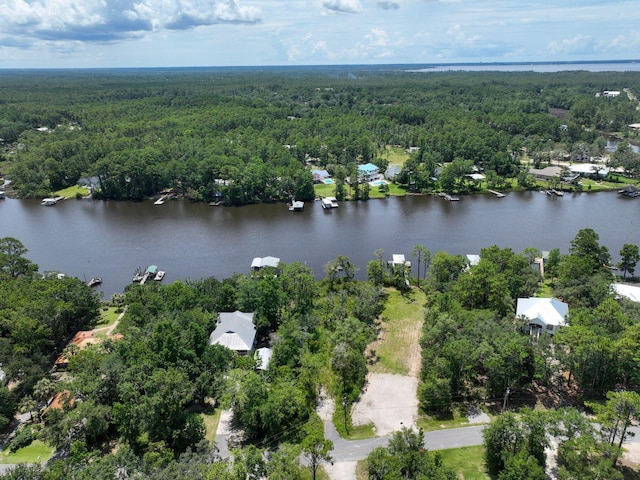 LOT4 E Bayou Forest Dr, Freeport, FL 32439 - photo 5