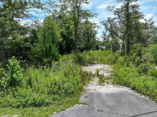 LOT4 E Bayou Forest Dr, Freeport, FL 32439 - photo 13