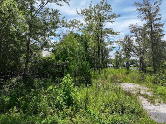 LOT4 E Bayou Forest Dr, Freeport, FL 32439 - photo 14