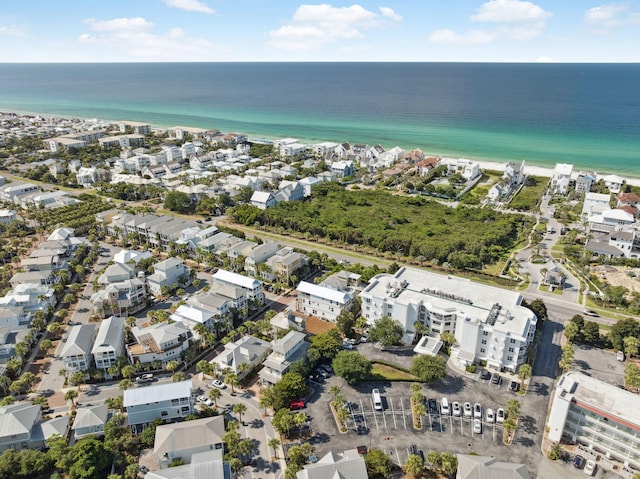 33 Sand Flea Dr, Inlet Beach, FL 32461 - photo 49